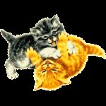 les 13 cles de l'amiti�/ok